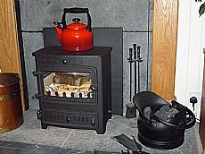 Emily Thomson's stove